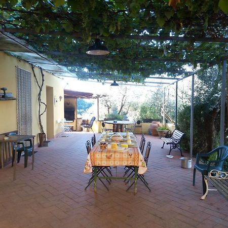 Agriturismo Il Cavallone Villa Montelupo Fiorentino Buitenkant foto