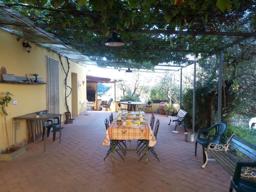 Agriturismo Il Cavallone Villa Montelupo Fiorentino Buitenkant foto